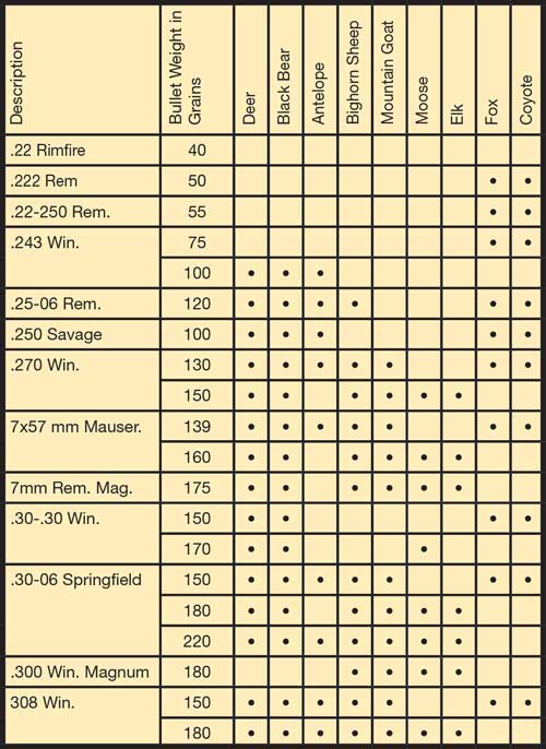 Ammo Caliber Chart
